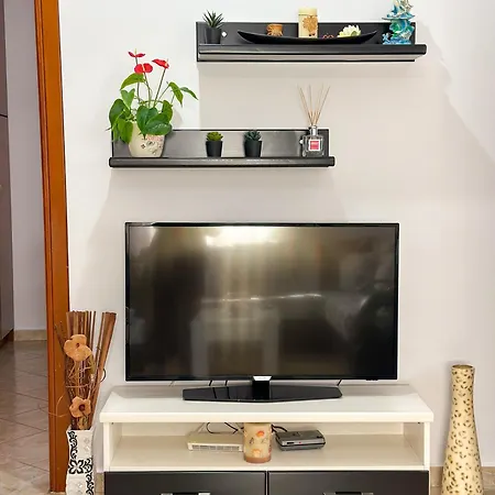 Xhoni's House
