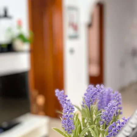 Xhoni's House Saranda