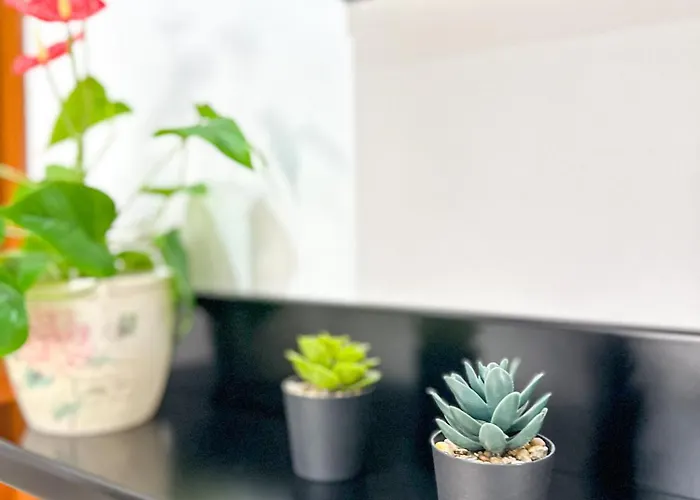 Xhoni's House Ferienhaus