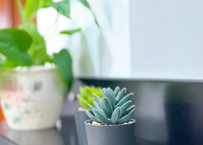 Xhoni's House * Sarandë