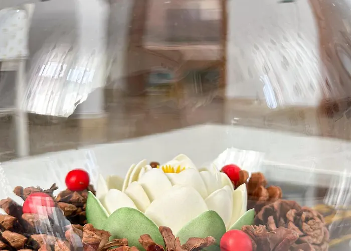 Ferienhaus Xhoni's House