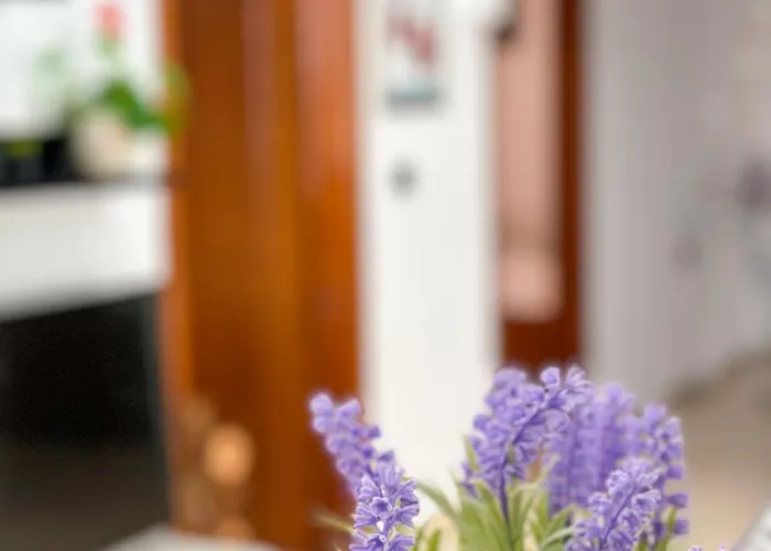 Xhoni's House Sarandë